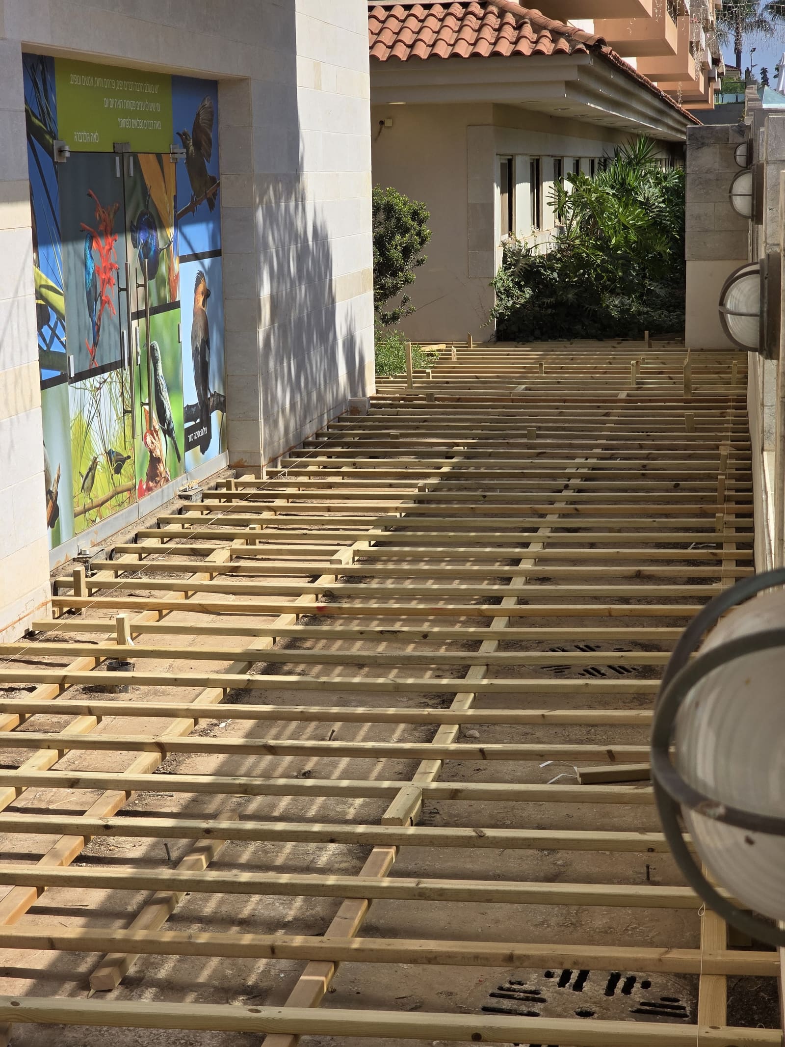 שלד קורות עץ בהירות מוצלבות לאורך מעבר, עם חוטי סימון לבנים וקיר תמונות ציפורים מימין